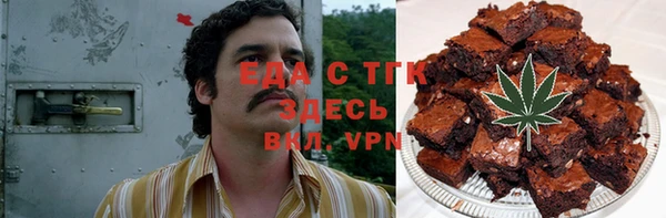 индика Елизово