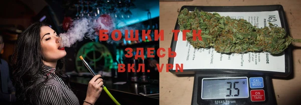 индика Елизово