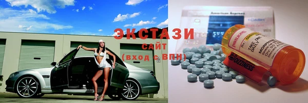 ECSTASY Ельня