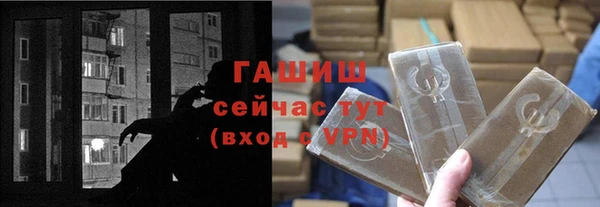 индика Елизово