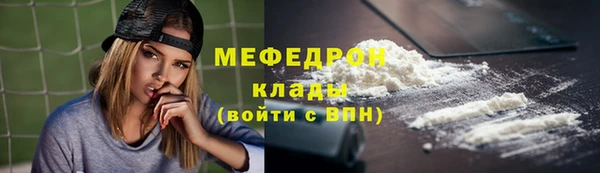 индика Елизово
