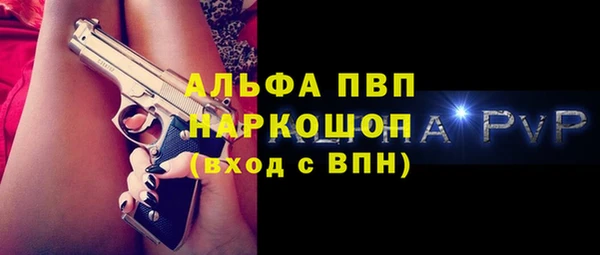 ECSTASY Ельня
