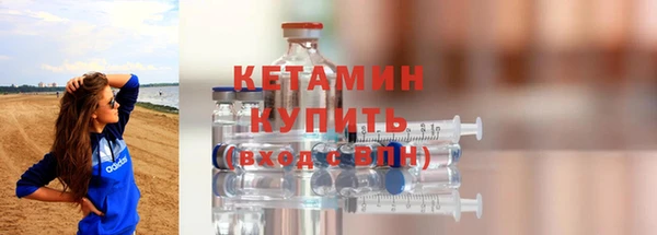 индика Елизово