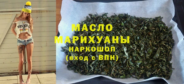 индика Елизово
