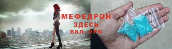 индика Елизово