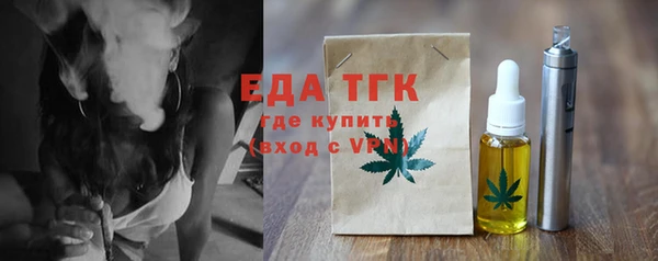 индика Елизово