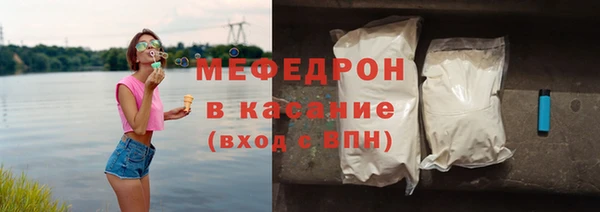индика Елизово