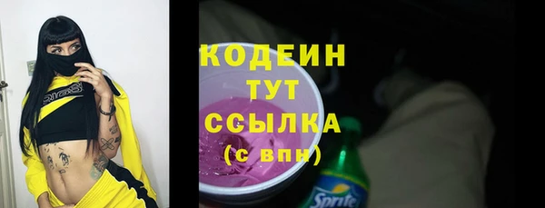 ECSTASY Ельня