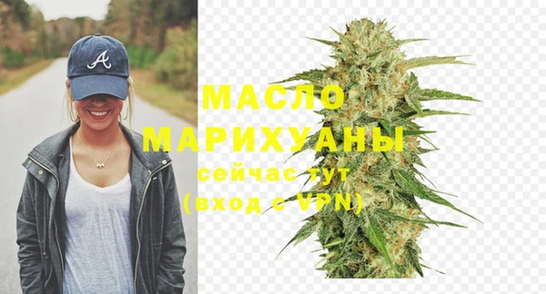 индика Елизово