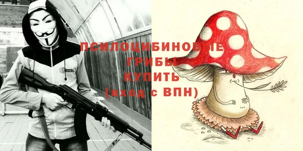 индика Елизово