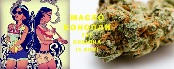 ECSTASY Ельня