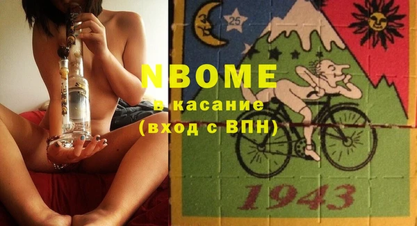 индика Елизово