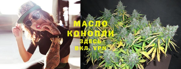 индика Елизово