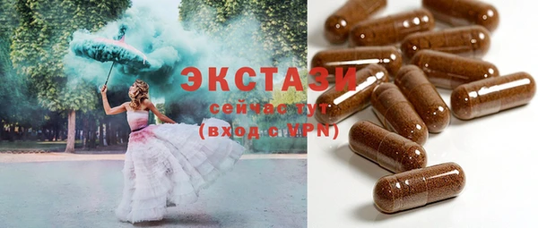 индика Елизово