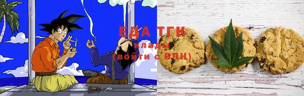 ECSTASY Ельня