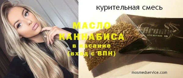 ECSTASY Ельня