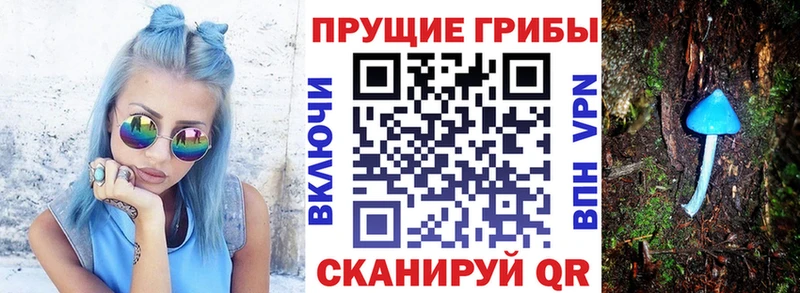 Псилоцибиновые грибы MAGIC MUSHROOMS  Купить  Балтийск 